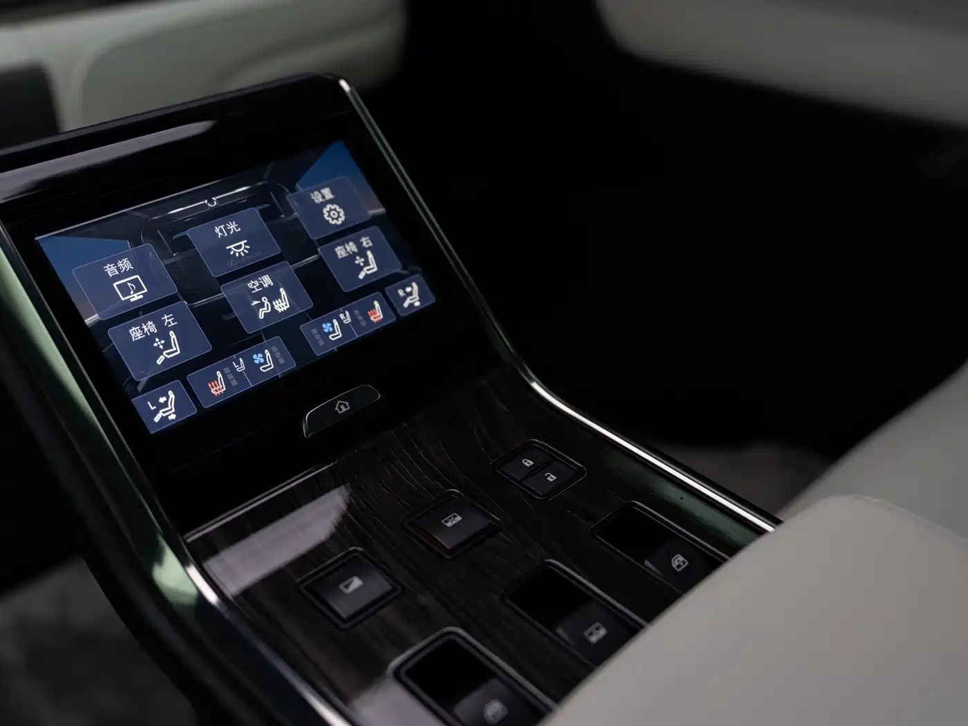 Lexus LM 2020 300h 4-Seat Imperial Edition фото 14