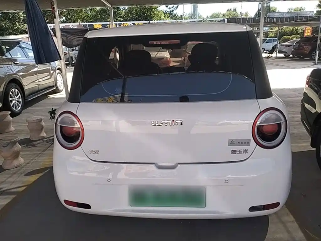 Changan Lumin 2025 2025 205km Fragrant Infusion Edition