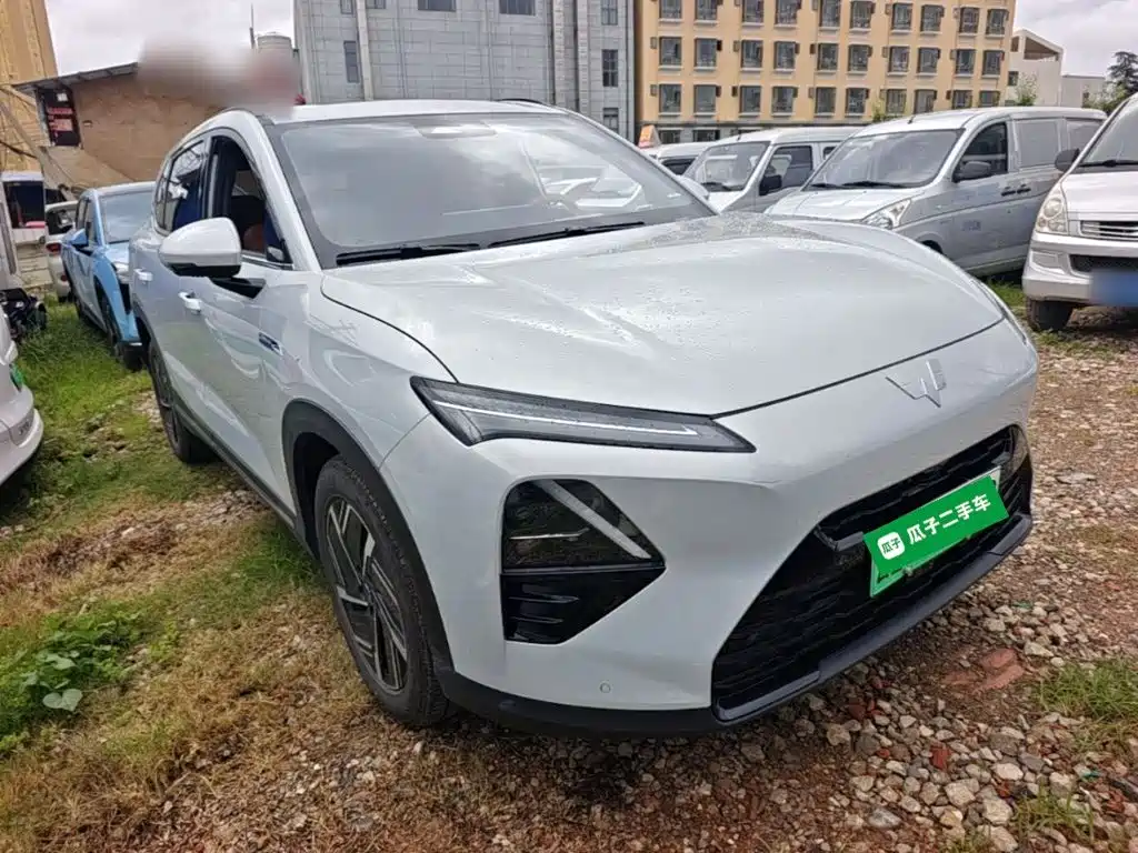 Фото 4 - Wuling Motors Wuling Xingguang S
