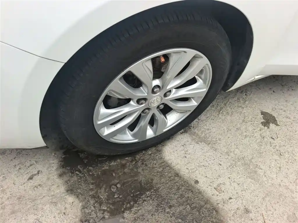 Buick Excelle 2018 15T Dual Clutch Elite (China V) фото 23
