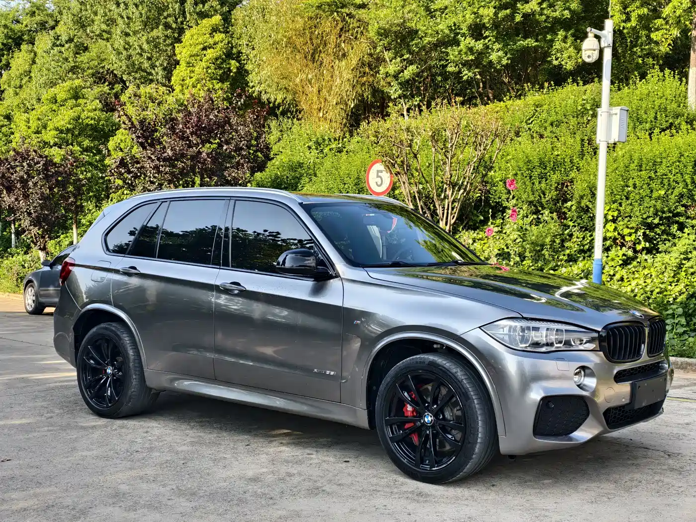 BMW X5 (Import) 2017 xDrive35i M Luxury Sport фото 3