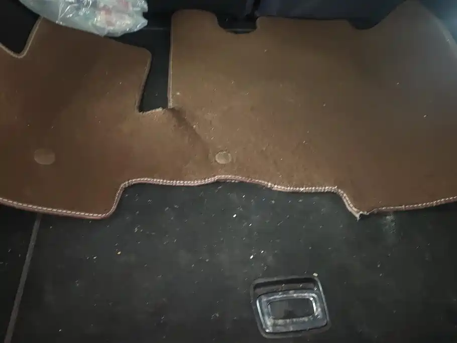 ZHIJI AUTOMOBILE ZHIJI LS7