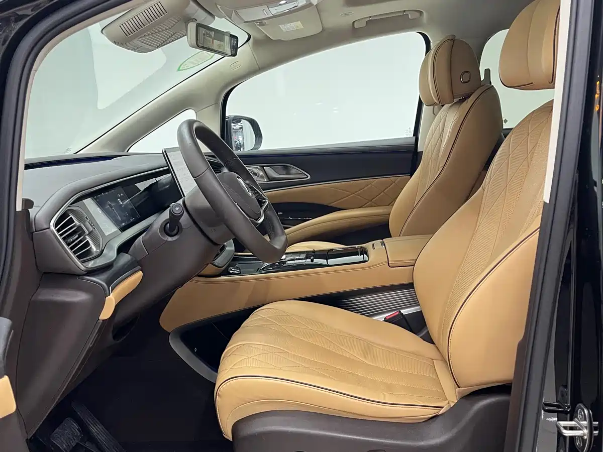 Denza D9 2024 DM-i 980 AWD Prestige фото 15