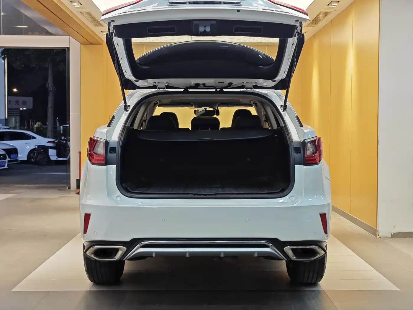 Lexus RX 2016 300 2WD Elite Edition (China V) фото 30