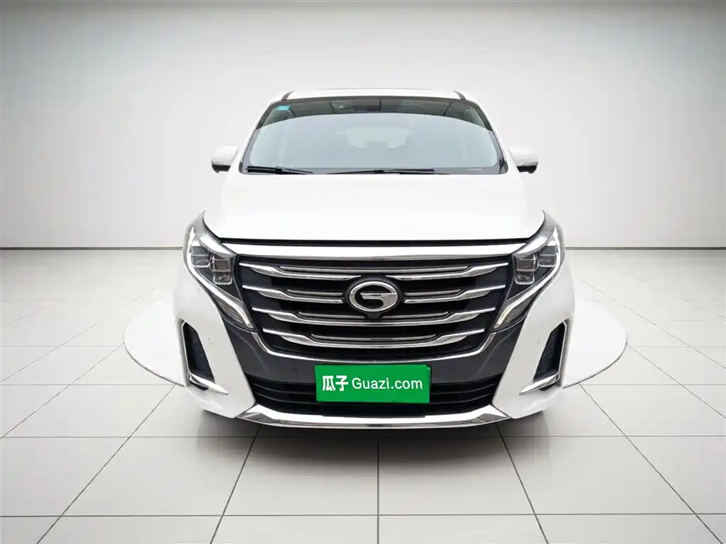 GAC Trumpchi Trumpchi M8 2020 Pilot 390T Ultimate Edition фото 24