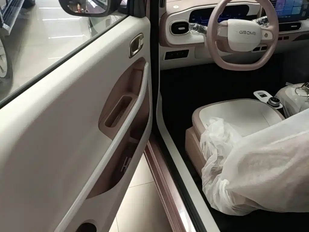 Geely Galaxy Panda 2026 2025 Panda mini 210km Vitality Bear