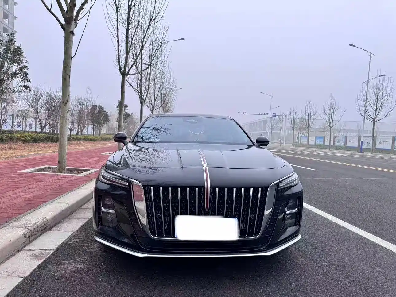 Hongqi H5 2025 2.0T Automatic Flag Celebration 500,000 Units Anniversary Edition фото 2