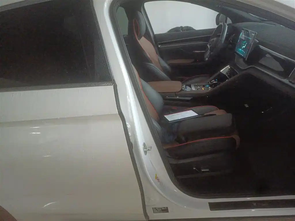 BYD Song PLUS 2020 1.5T Automatic Flagship фото 4