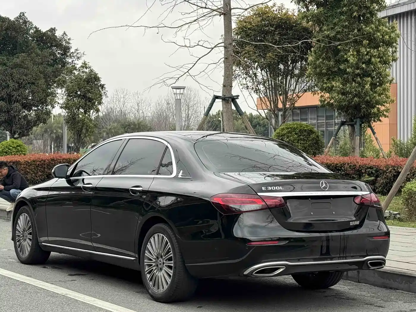 Mercedes-Benz E-Class 2023 Facelift E 300 L Luxury фото 3