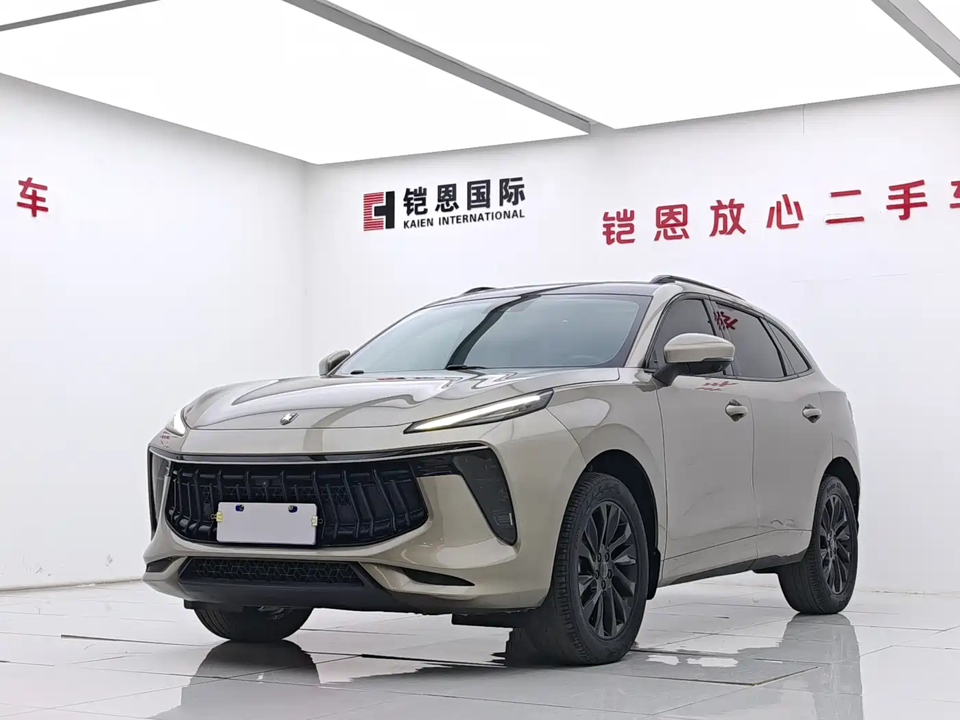 Dongfeng Fengxing T5 EVO 2021 1.5TD DCT Starlight Edition