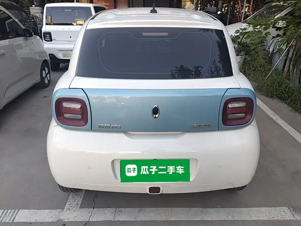 Ora Black Cat 2020 2019 Model 351km Smart Fun Edition