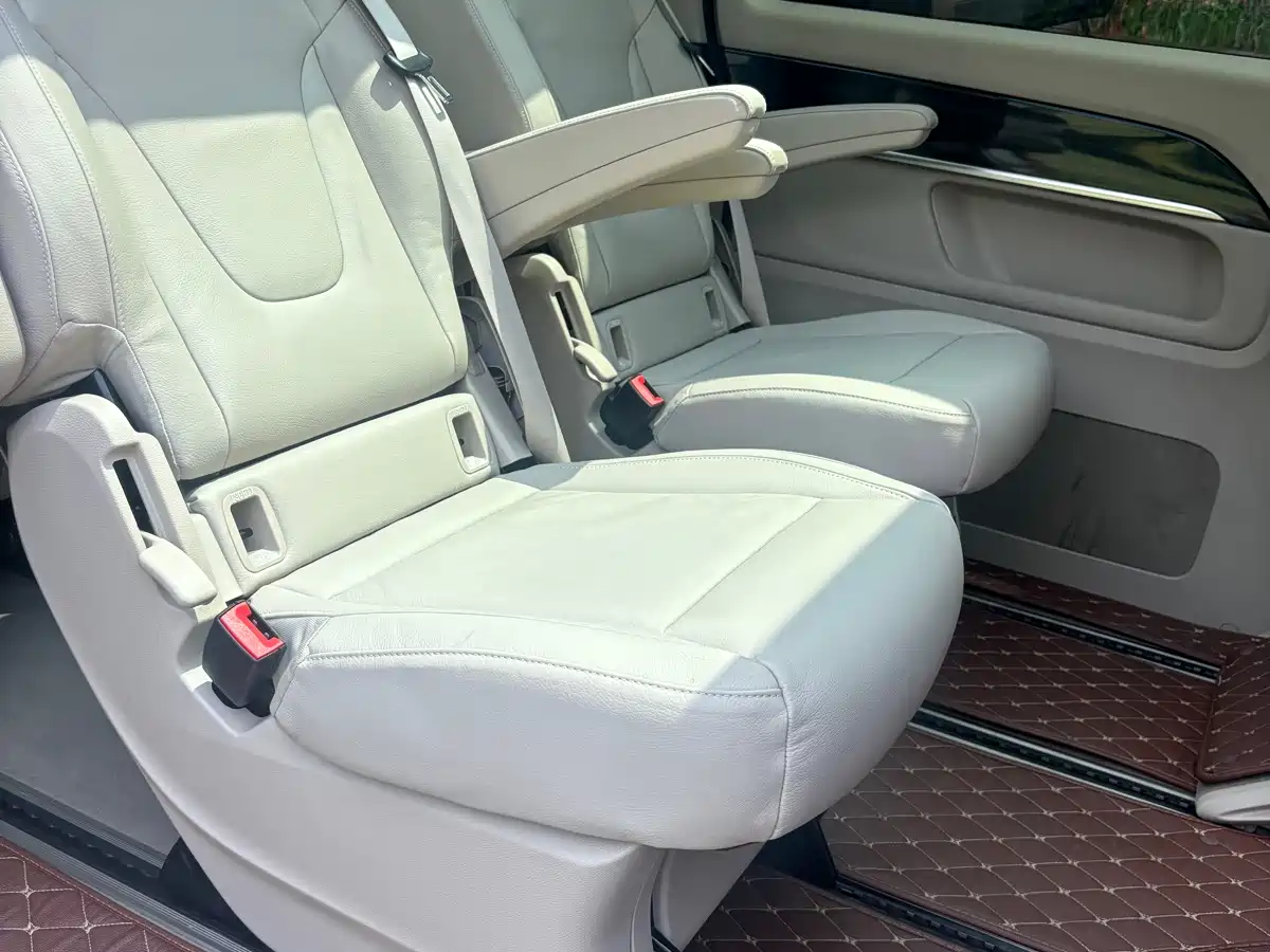 Mercedes-Benz V-Class 2018 V 260 Pilot Edition China V фото 8