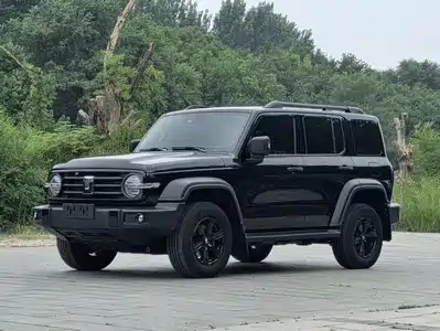 Tank 300