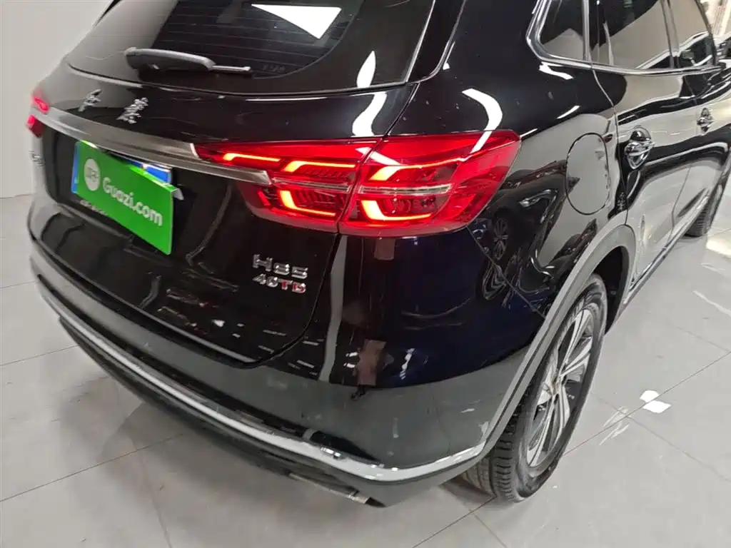 Hongqi HS5 2019 2.0T Smart Connect Enjoy Edition фото 8