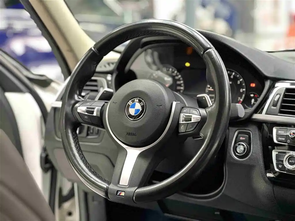 BMW 3 Series 2019 320Li M Luxury Package фото 10