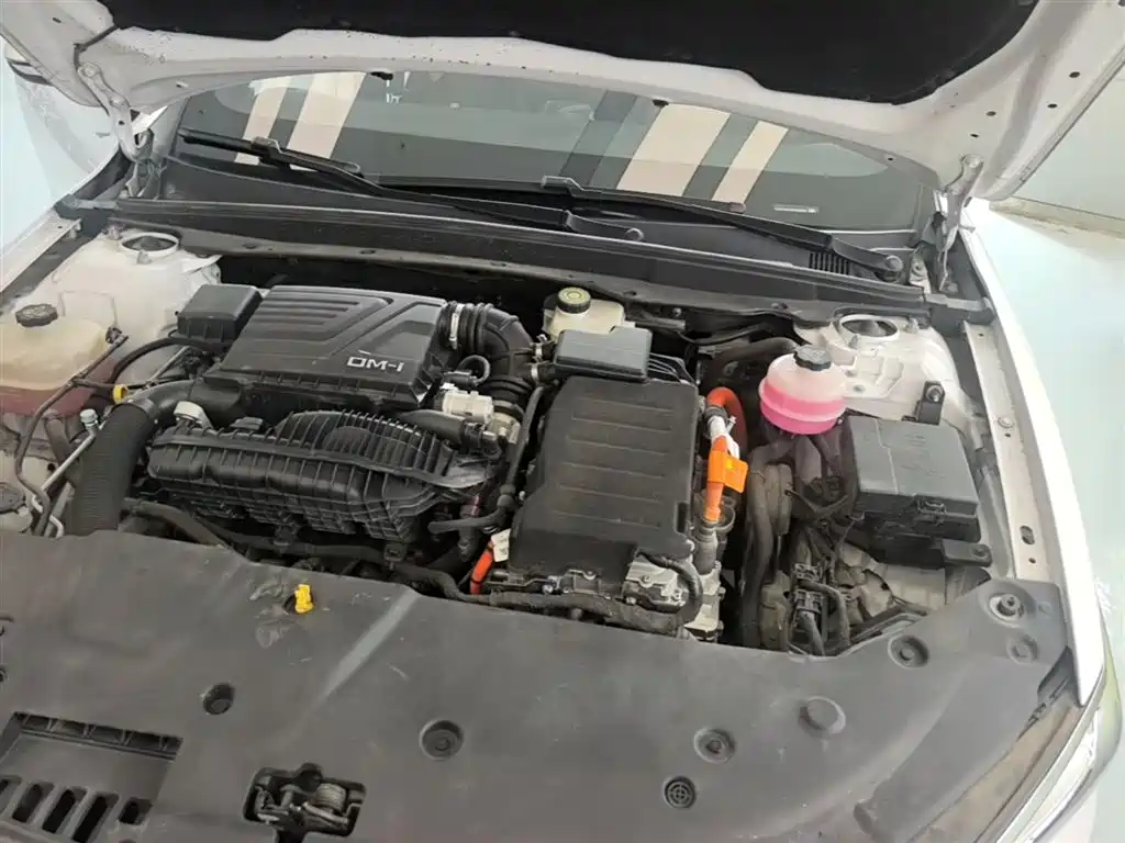 BYD Qin PLUS 2023 Champion Edition DM-i 55KM Leading фото 20