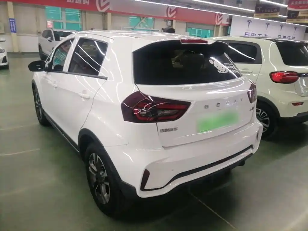 Geely Geometry EX3 Kung Fu Bull 2022 2021 Strong Bull