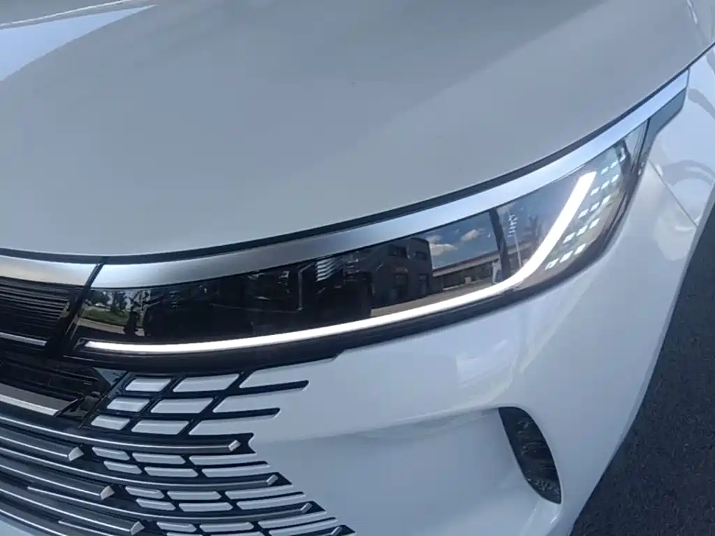 BYD Destroyer 05 2025 2024 Glory Edition DM-i 55KM Luxury