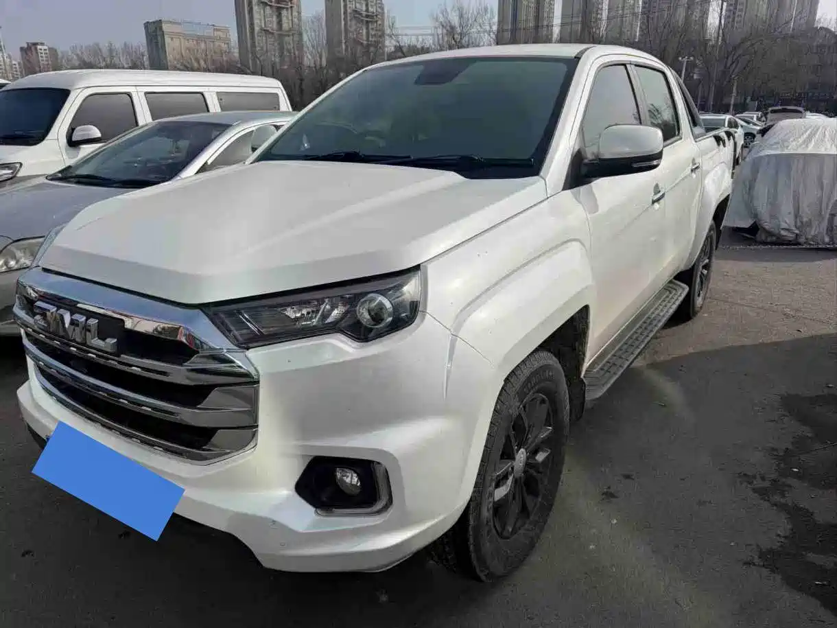 JIANGLING DOMAIN TIGER 7