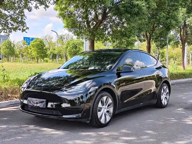 Tesla Model Y Задний привод