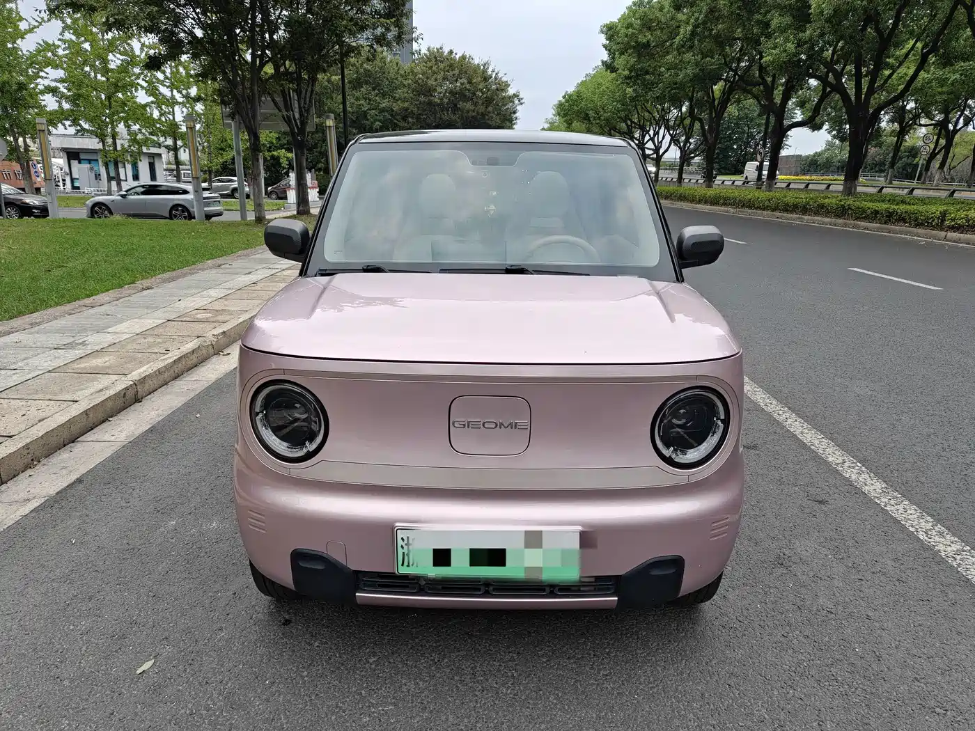 Geely Galaxy Panda 2023 2023 Panda Mini 200km Lively Bear