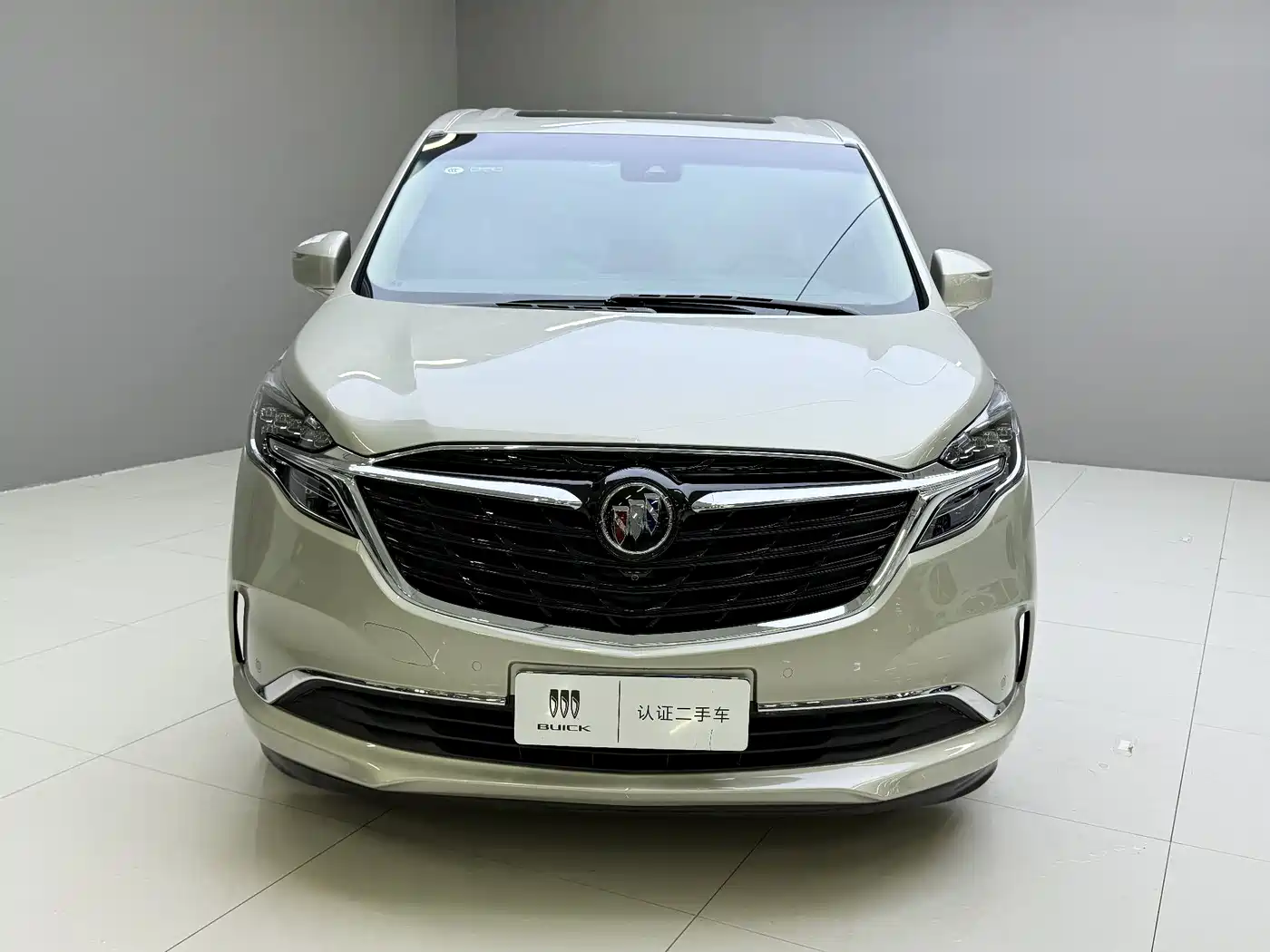 Buick GL8 2022 ES Landmark 653T Luxury фото 2
