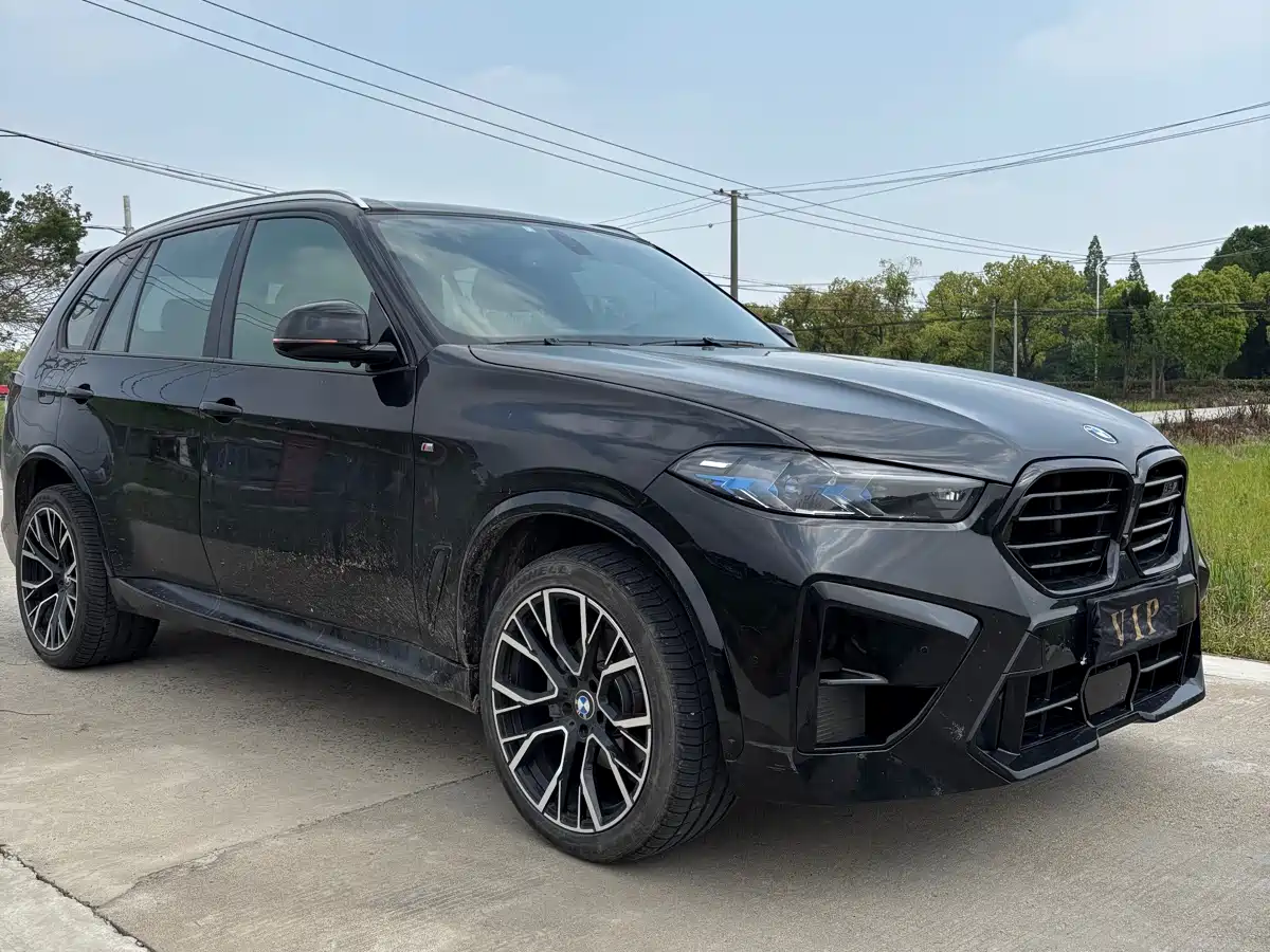 BMW X5 (Import) 2009 xDrive30i Leading фото 3