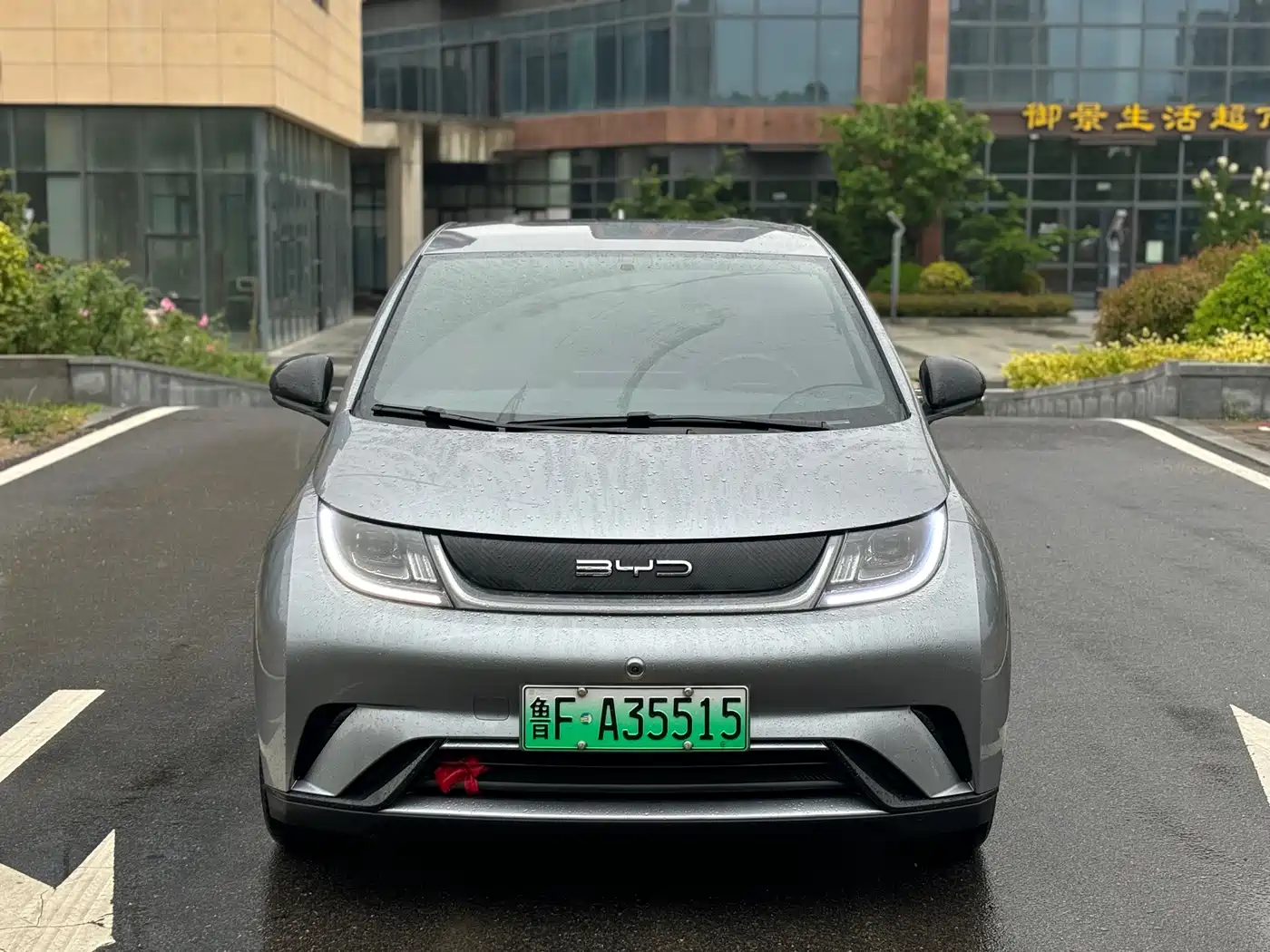 BYD Dolphin 2024 Glory Edition 420km Freedom Edition фото 3