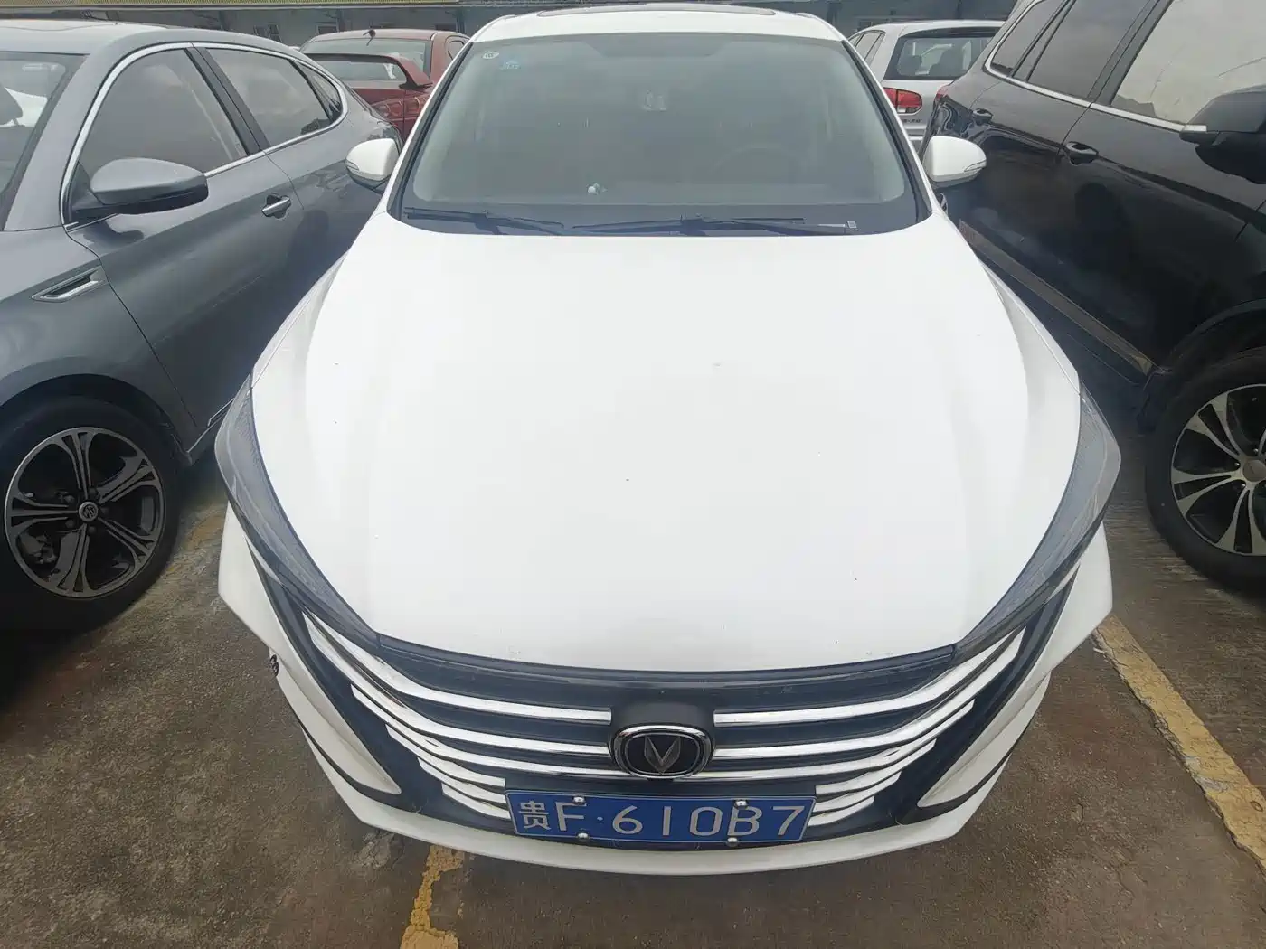 Фото 2 - Changan Eado