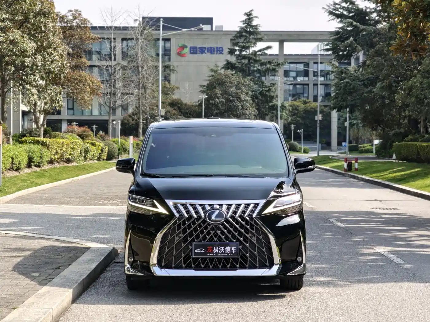 Lexus LM 2020 300h Seven-Seater Elegance Edition фото 2