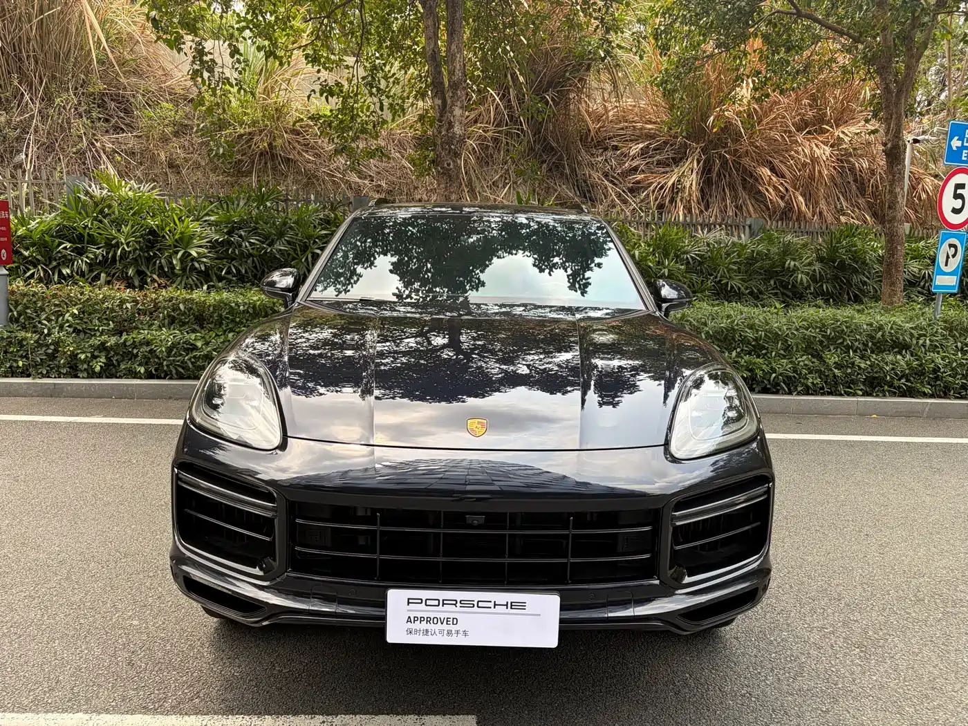 Porsche Cayenne 2023 Cayenne 3.0T Platinum Edition фото 10