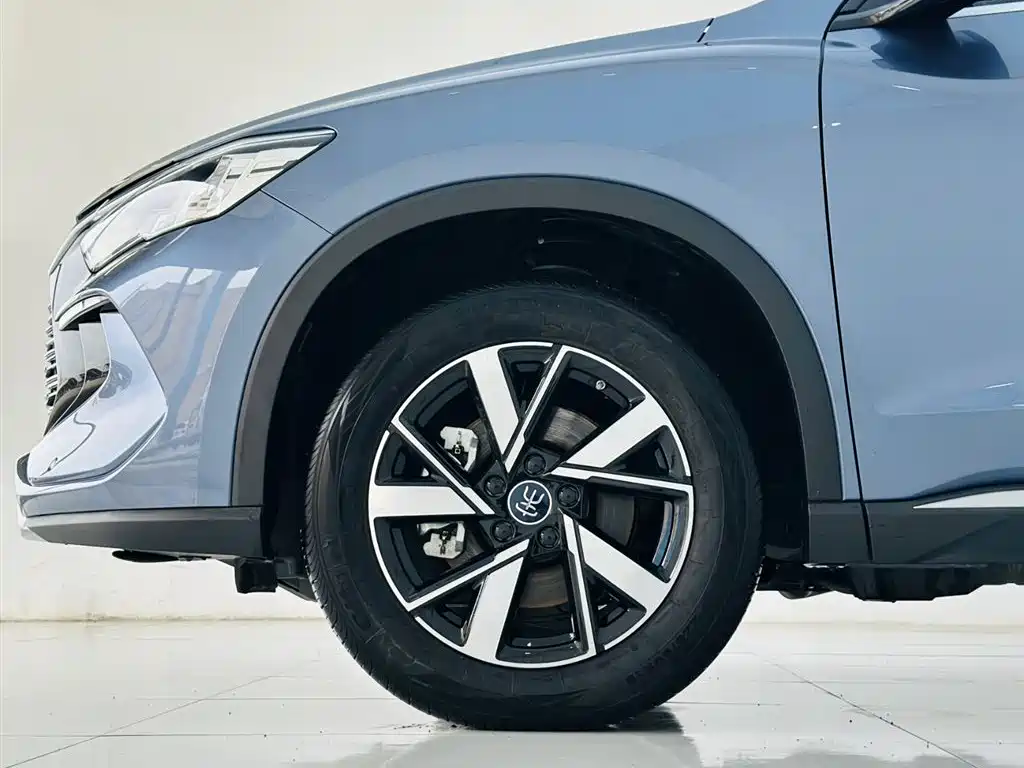 BYD SONGJIANG NEW ENERGY