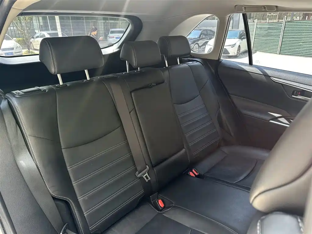 Toyota Wildlander 2020 2.0L CVT 2WD Luxury Edition фото 16
