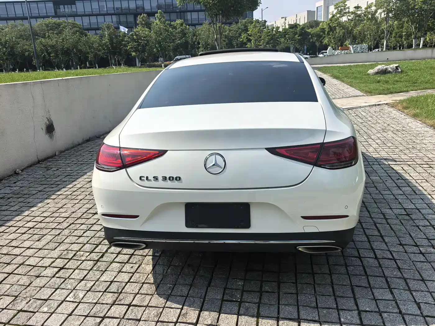 Mercedes-Benz CLS 2018 CLS 300 Dynamic фото 6