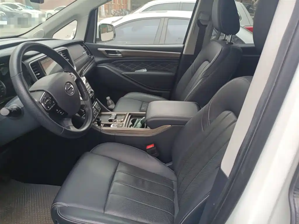 GAC Trumpchi Trumpchi M8 2020 Pilot 390T Ultimate Edition фото 8