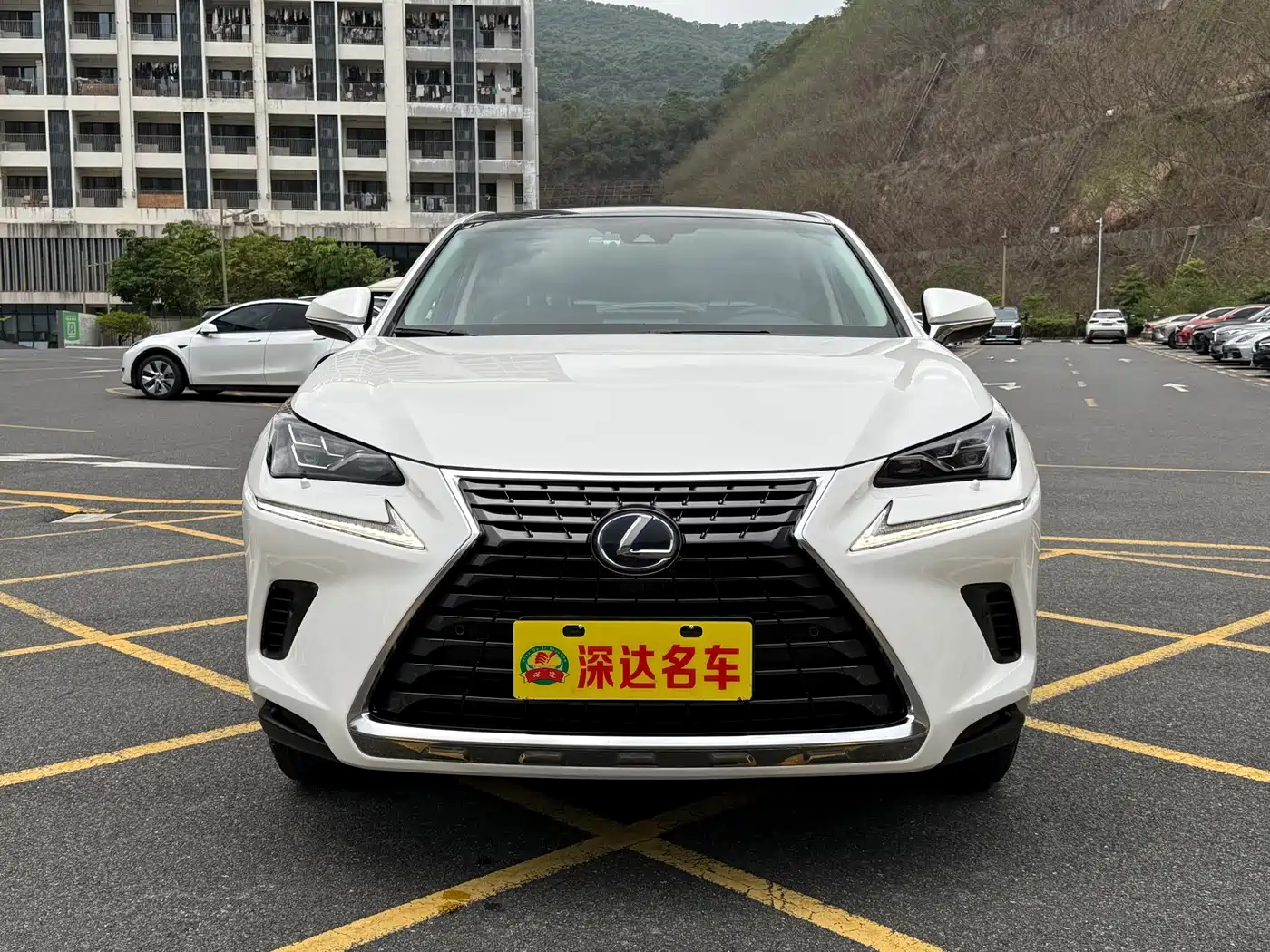 LEXUS NX