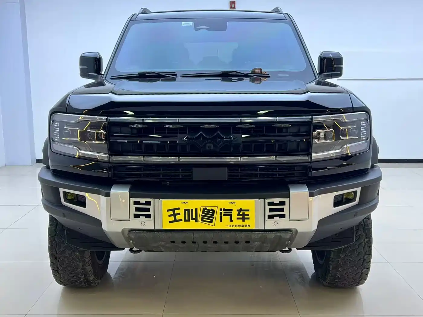 FANG CHENG BAO LEOPARD 5