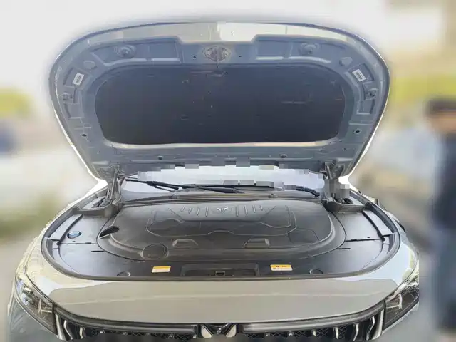 Voyah Auto VOYAH FREE 2021 AWD Standard Range Extender Exclusive Luxury Package — фото 3