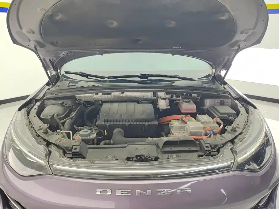 Denza X 2020 2020 Model PHEV Flagship Edition