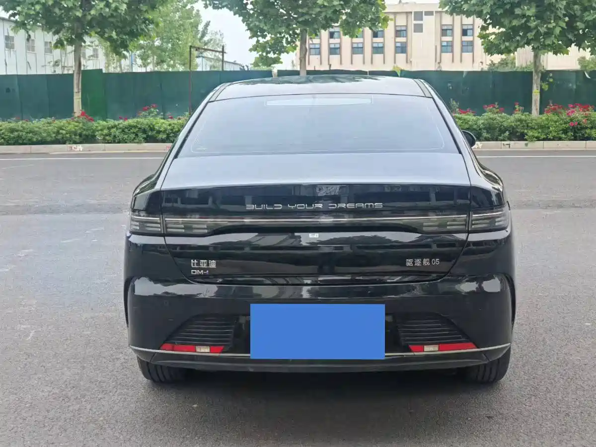 BYD Destroyer 05 2024 Glory Edition DM-i 55KM Luxury фото 8