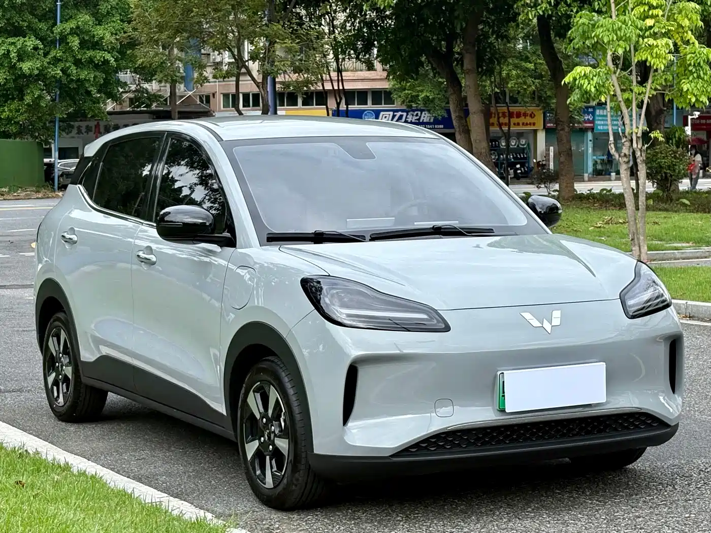Wuling Motors Wuling Binguo PLUS 2026 2024 Model 330km 5-Seater