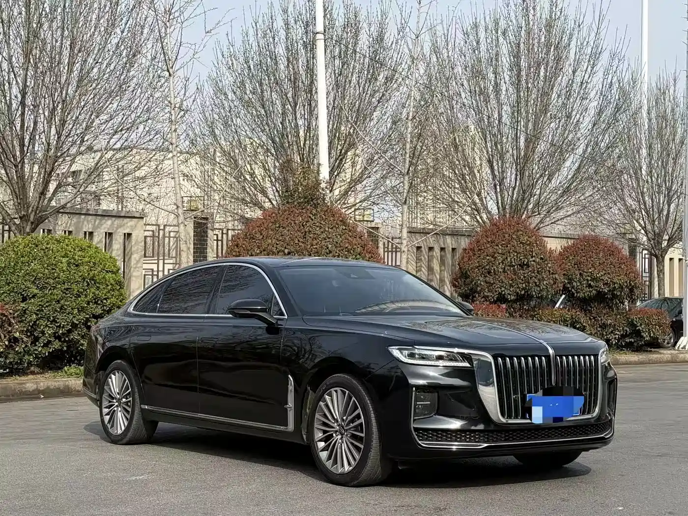 Hongqi H9 2020 2.0T Smart Connection Qi Xiang Edition фото 3