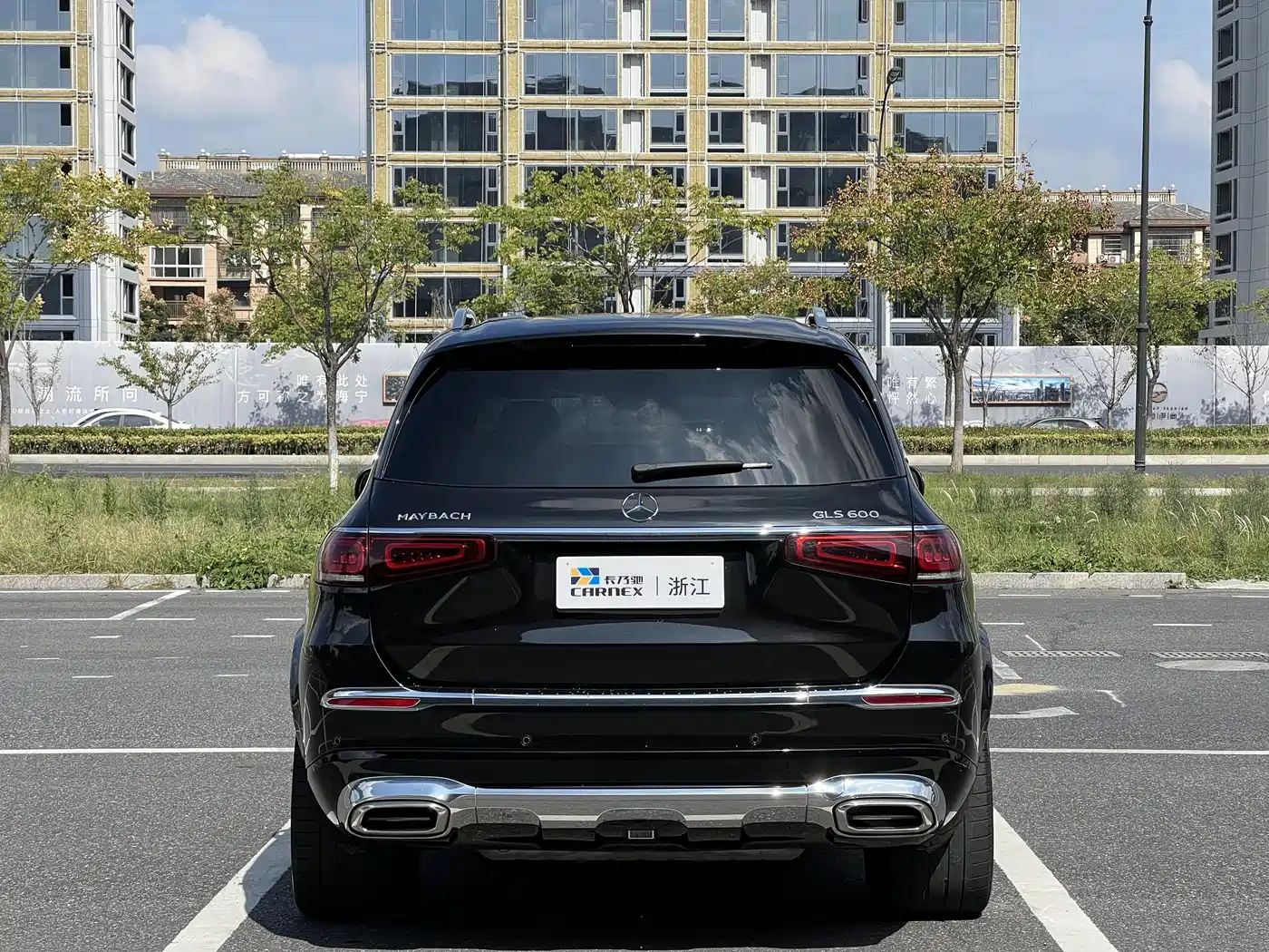 Mercedes-Benz Maybach GLS 2021 GLS 600 4MATIC Ritual Edition фото 4