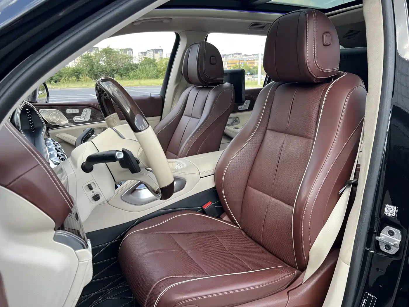 Mercedes-Benz Maybach GLS 2021 GLS 600 4MATIC Ritual Edition фото 11