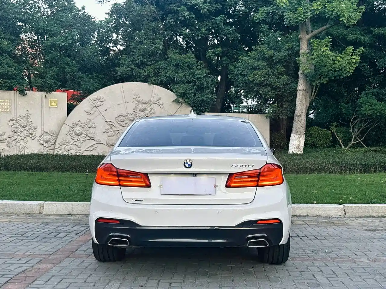 BMW 5 Series 2019 530Li xDrive M Sport Package фото 8