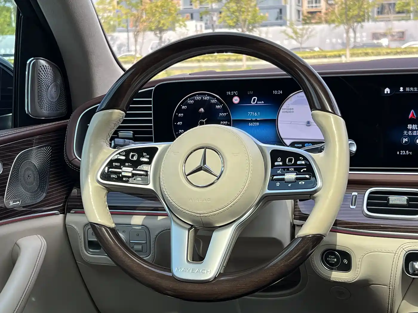 Mercedes-Benz Maybach GLS 2021 GLS 600 4MATIC Ritual Edition фото 10