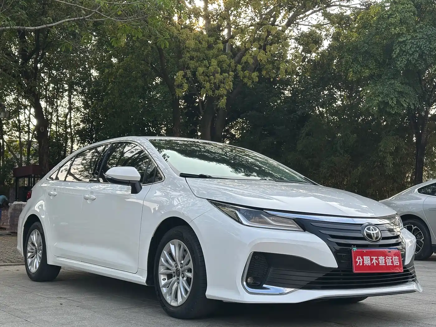 TOYOTA ASIAN LION
