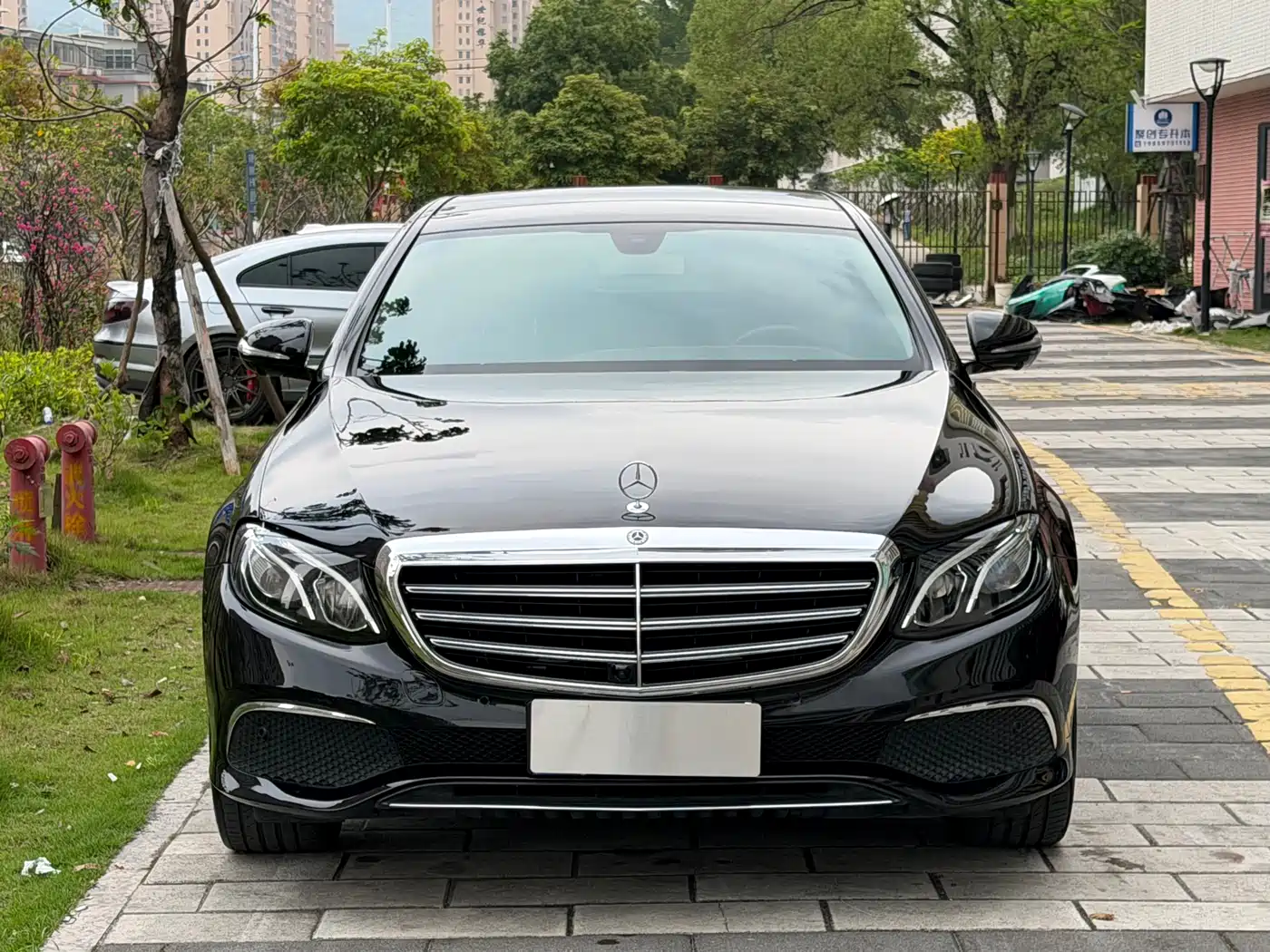 Mercedes-Benz E-Class 2020 E 300 L Fashion фото 3
