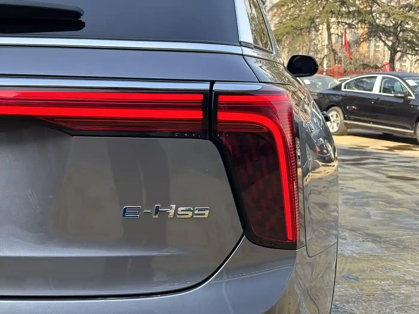 Hongqi E-HS9 2022 690km Qi Xiang Edition (6-seater) фото 4