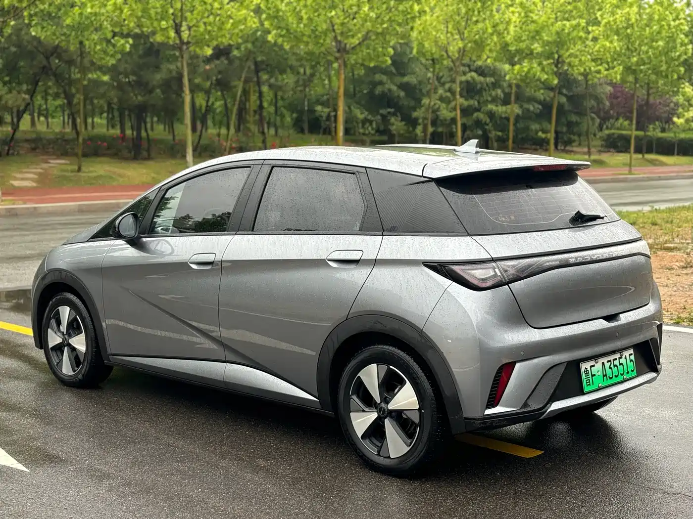 BYD Dolphin 2024 Glory Edition 420km Freedom Edition фото 6